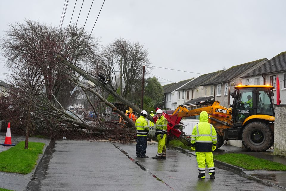 Workers clearing a fallen tree in Dublin as ESB networks continue to reconnect homes and businesses across the country after Storm Eowyn (Brian Lawless/PA)