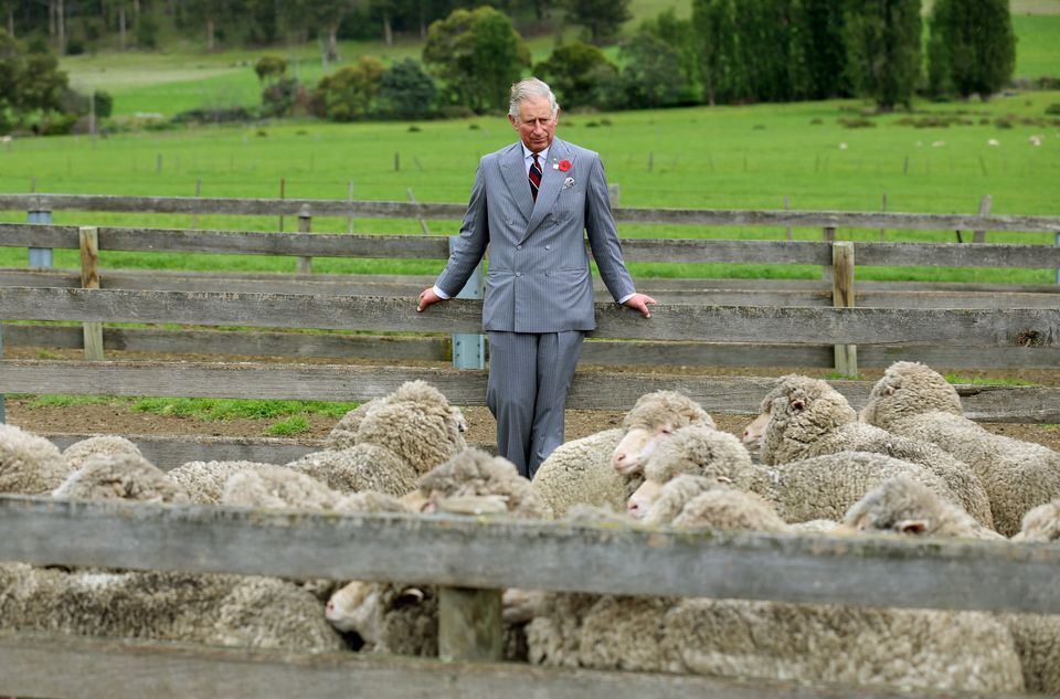 During the 2012 visit, Charles also paid a visit to Leenavale Sheep Stud in Sorell, Tasmania (Chris Radburn/PA)