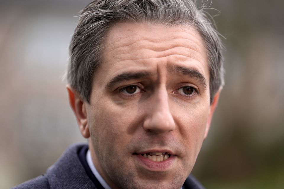 Taoiseach Simon Harris rejected the assertion Ireland is anti-Israel (Brian Lawless/PA)