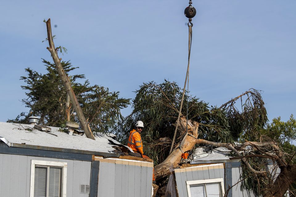 Workers remove a large tree that fell into a mobile home in Seaside, California (Nic Coury/AP)