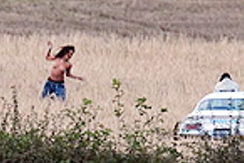 House Of Porn Big Field - Topless Rihanna rattles Northern Ireland farmer with risque video shoot |  BelfastTelegraph.co.uk