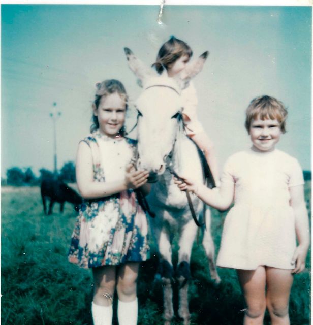 Robert's mother Amanda (left) and her sisters Lesley and Joanne, alongside Lucy the donkey