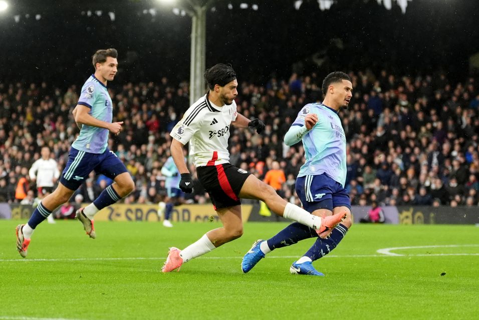 Raul Jimenez (centre) fired Fulham ahead (Adam Davy/PA)