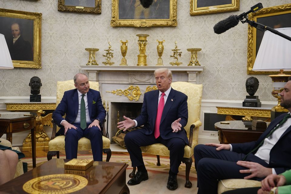 Vice president JD Vance joins Taoiseach Micheal Martin during a bilateral meeting with Donald Trump (Niall Carson/PA)