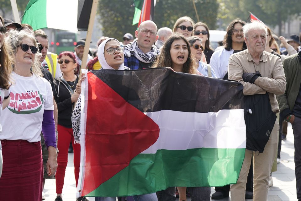 People during a pro-Palestine protest in Dublin (Niall Carson/PA)