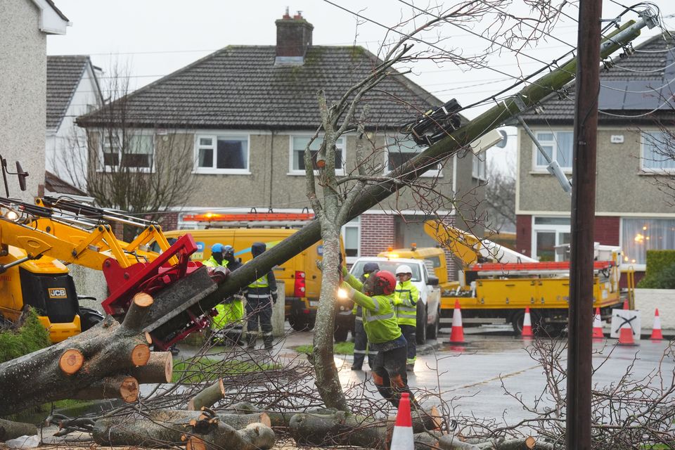 Storm Eowyn caused severe damage across Ireland (Brian Lawless/PA)