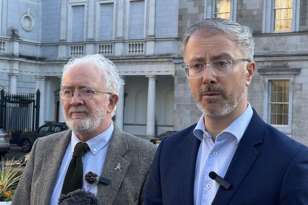 Green Party Urges Immediate Confirmation on AI Legislatio...