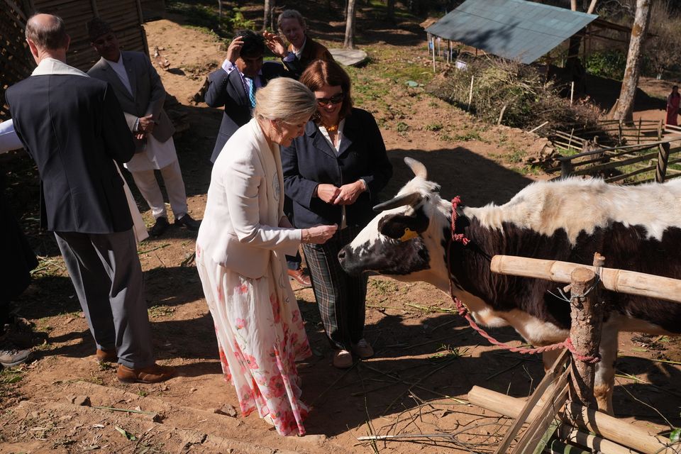 The Duke and Duchess of Edinburgh were shown indigenous cows as part of conservation efforts (Yui Mok/PA)