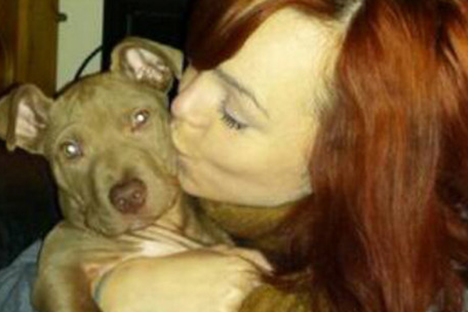 Owners of Belfast death row dog Hank vow to take fight to Europe