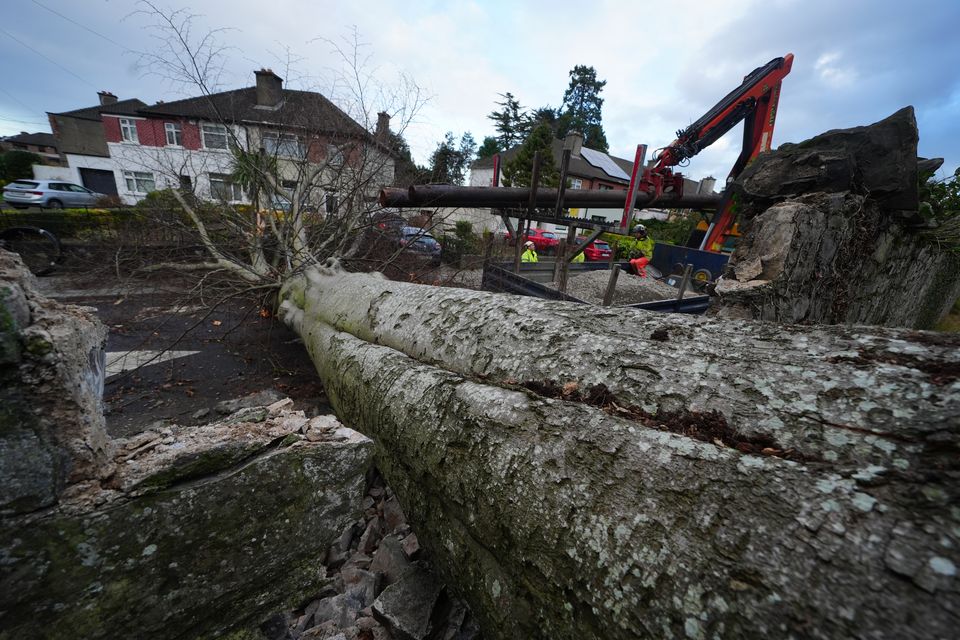 A fallen tree which crashed through the wall of Phoenix Park and on to Blackhorse Avenue in Dublin. (Brian Lawless/PA)