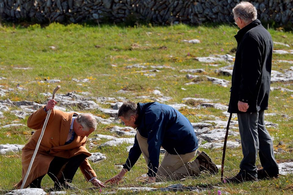 Britain's Prince Charles, Prince of Wales (L) and BurrenBeo Trust Project Manager Brendan Dunford (C) examine the flora during his visit to the Burren, a vast area of limestone rock, at Burren National Park in west Ireland, on May 19, 2015. Prince Charles on Tuesday became the first British royal to meet Irish republican leader Gerry Adams, on a visit that will take him to the scene of his great-uncle's murder by the IRA.  AFP PHOTO / POOL / JOHN STILLWELLJOHN STILLWELL/AFP/Getty Images