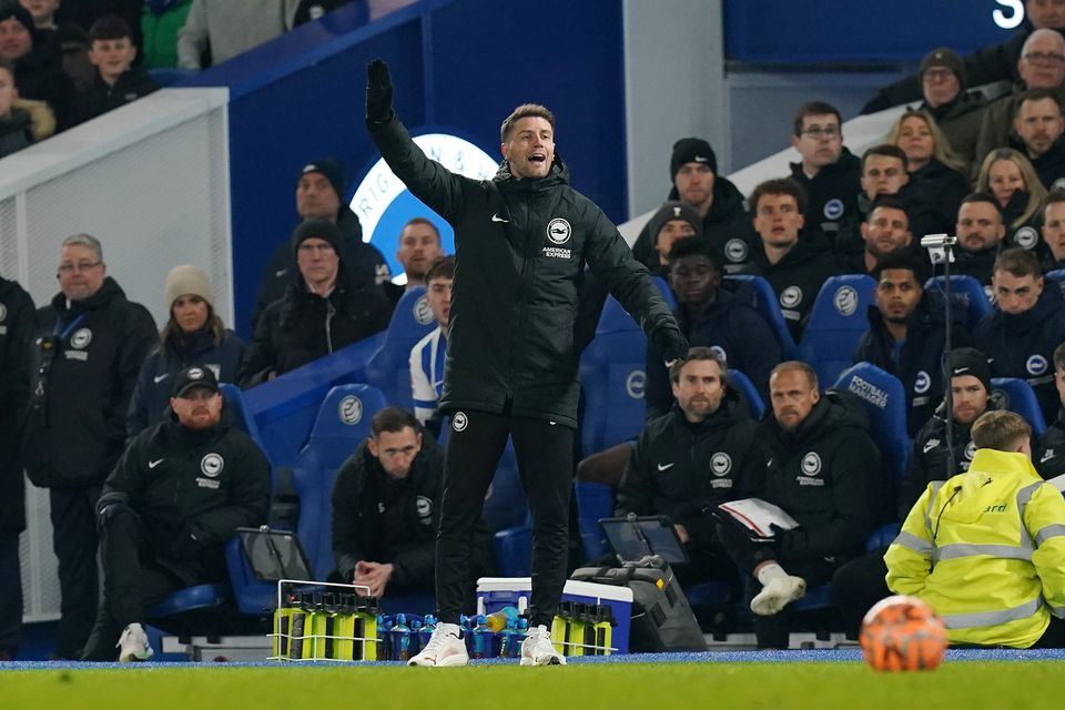 Brighton manager Fabian Hurzeler enjoyed the win (Gareth Fuller/PA)