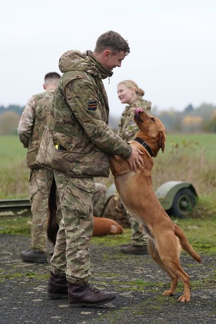 Private McLoughlin with military working dog Grainger (Joe Giddens/PA)