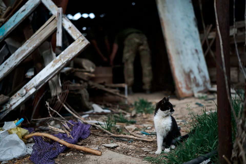 A cat stays close to Ukrainian soldiers as they repair a 120mm mortar that broke after being fired in an undisclosed location