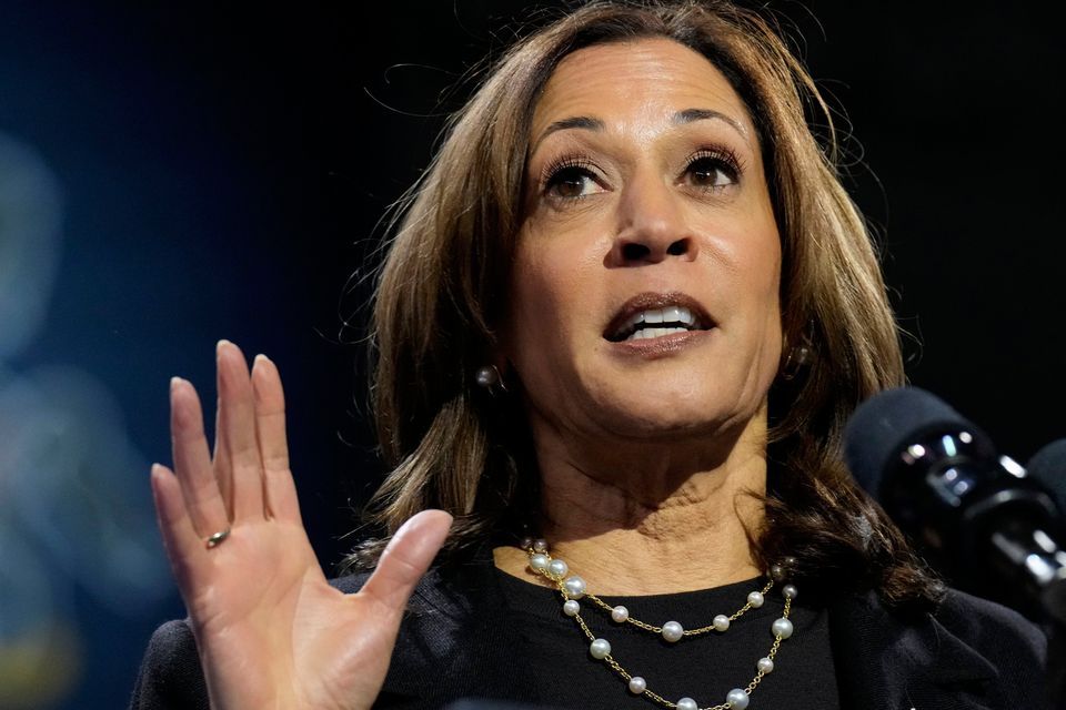 US vice-president Kamala Harris. Photo: AP