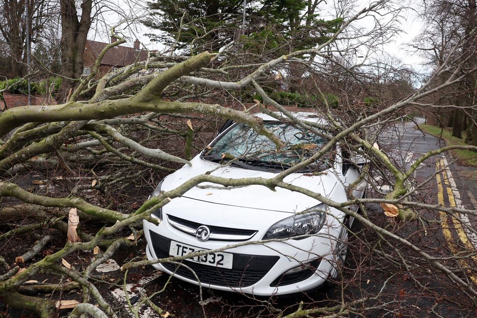 Driver Pauleen Millar had a lucky escape when a tree came down on her car in seconds at the junction of Circular Road and Cairnburn Road in east Belfast (Credit: Press Eye)