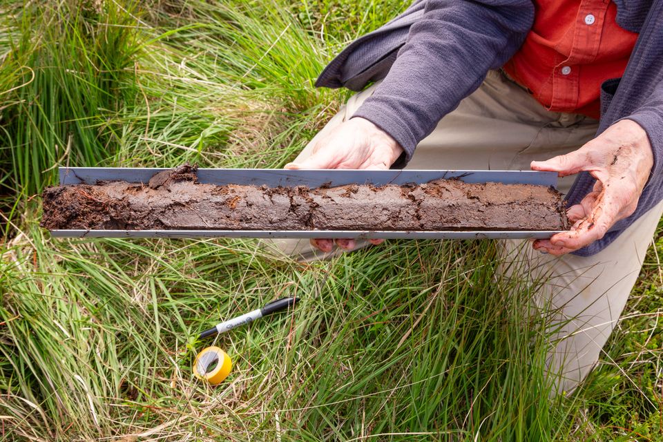 A National Trust ranger extracts peat on Marsden Moor (David Preston/National Trust/PA)