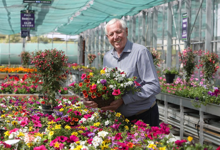 Robin Mercer BEM, owner of Hillmount Garden Centre