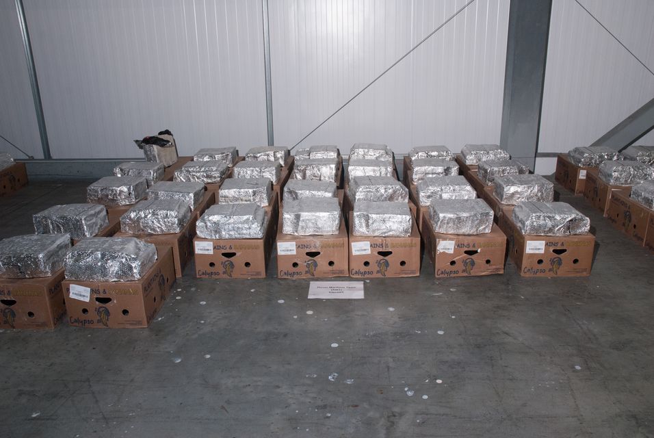 Cocaine was found in foil packages inside crates of bananas (COPFS/PA)