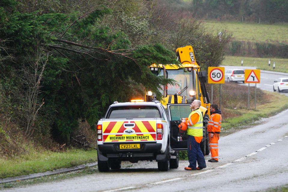 A fallen tree is cleared away after heavy winds near in Bridgend, Wales (Ben Birchall/PA)