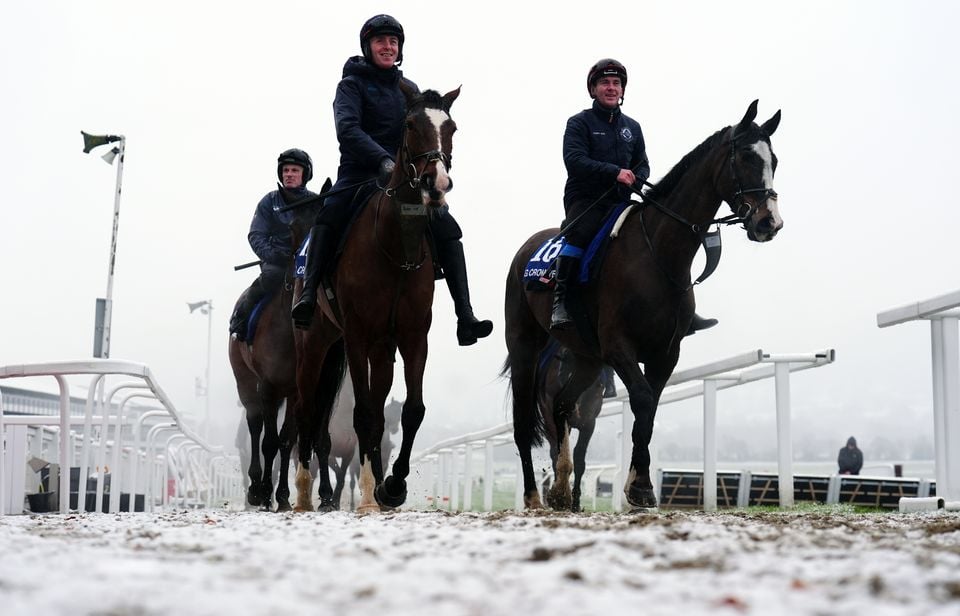 Horses make their way in from the snow-covered gallops early on day two of the 2025 Cheltenham Festival (Mike Egerton/PA)