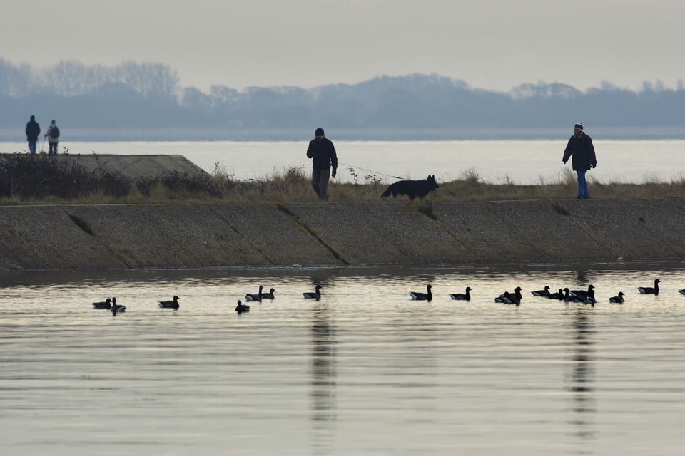 A couple walk their dog past Brent Geese at Farlington Marshes, an area of low lying coastal grazing marsh jutting out into Langstone Harbour near Portsmouth (Chris Ison/PA)