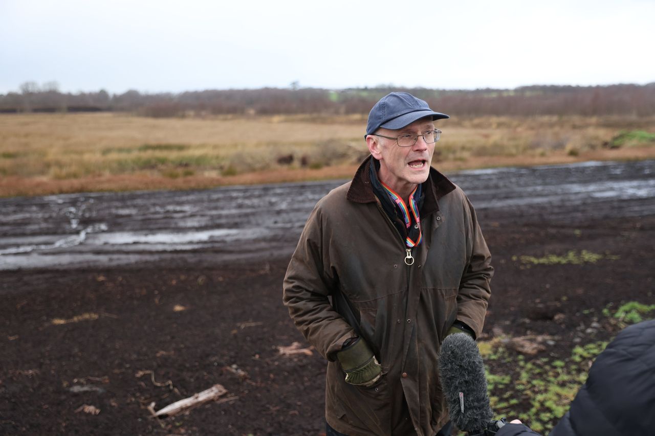 The 2,000-year-old Bellaghy ‘boy in the bog’ hailed as most exciting ...