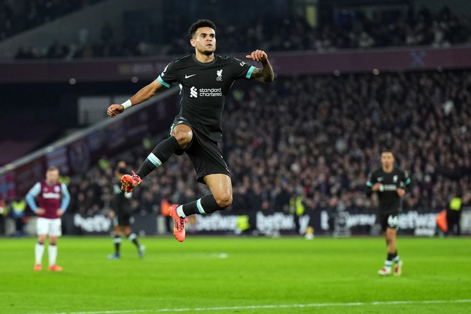 Luis Diaz celebrates his goal (James Manning/PA)