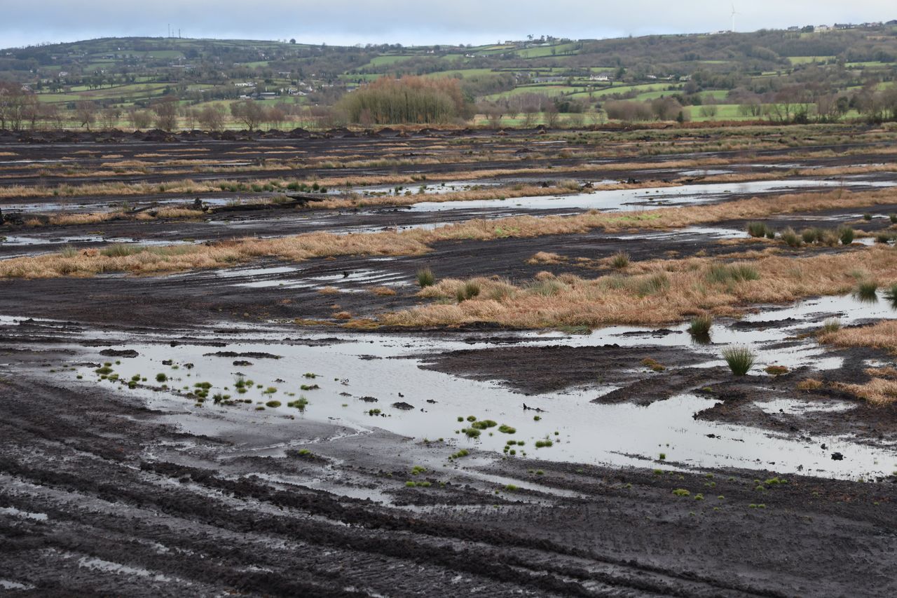 The 2,000-year-old Bellaghy ‘boy in the bog’ hailed as most exciting ...