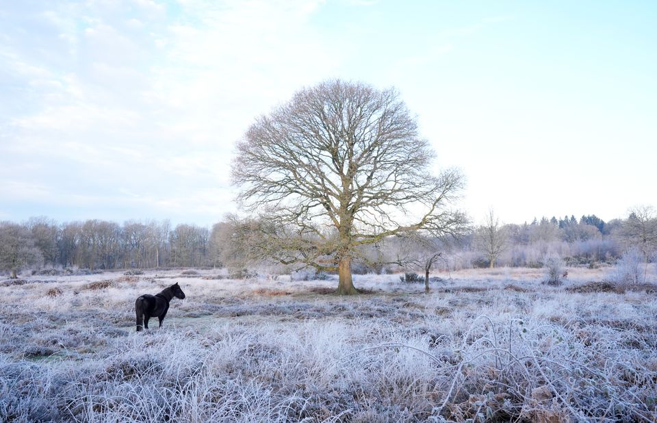 The UK Health Security Agency has extended its cold weather health alert for all of England until Sunday (Gareth Fuller/PA)