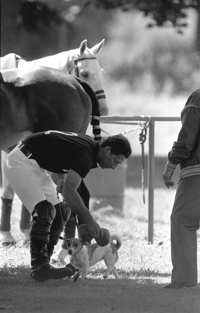 The Prince of Wales cools his dog Tigga with a wet sponge at a polo match in 1988 (Barry Batchelor/PA)