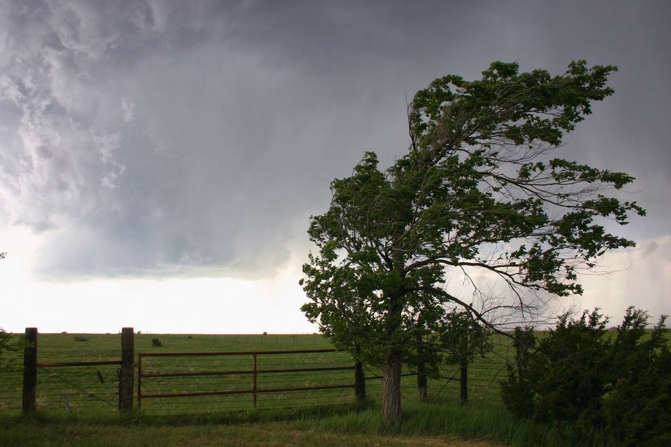 A yellow weather warning is in place for late Tuesday.  (Stock image. Getty Images)