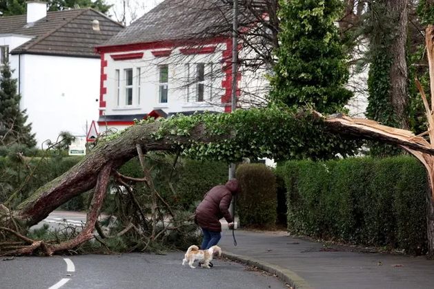 New weather warning for snow and ice as winds in NI reach 92mph, tree rips through house and windows blow through