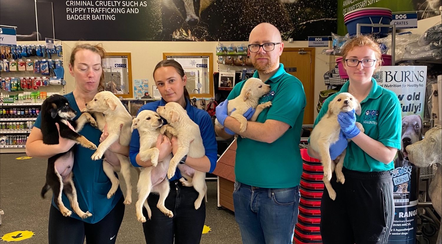 Latest case of abandoned puppies 'shocks' NI animal welfare charity as  warning issued 