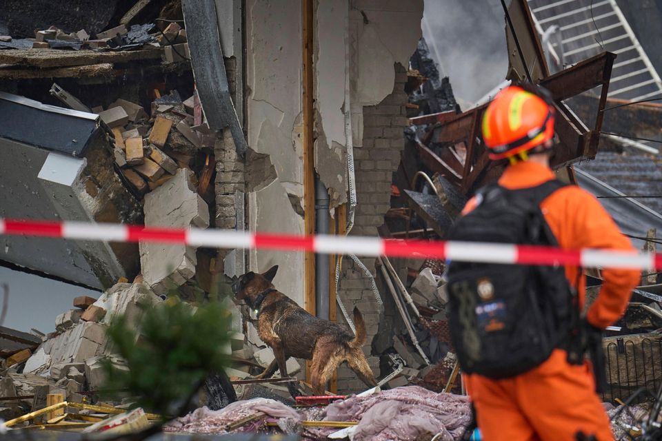 A search and rescue dog works amid the debris (Phil Nijhuis/AP)