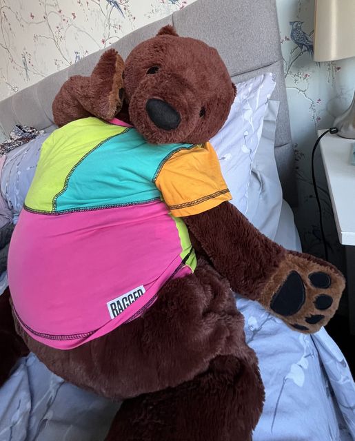 Ms O’Brien has been using a bear from Ikea to sell clothes on Vinted (Cara O’Brien/PA)