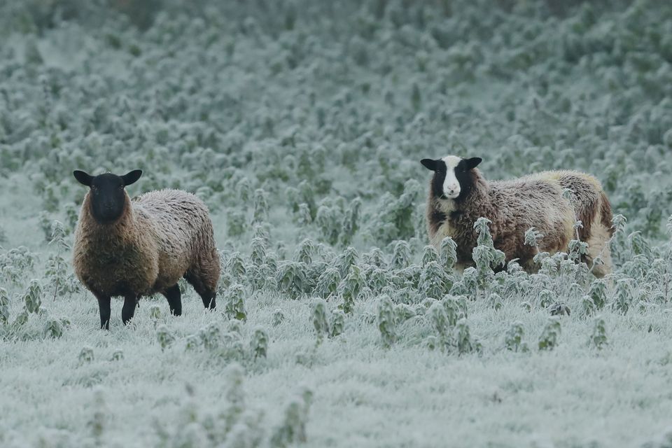 Icy conditions are expected to pick up on Sunday (Niall Carson/PA)