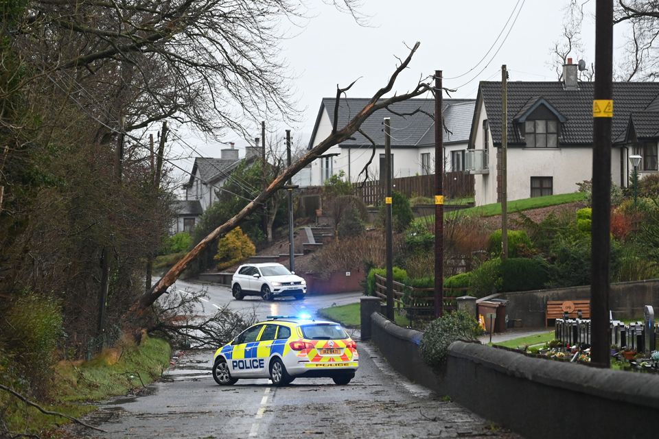 A tree leans against electric wires on the Crebilly Road, Ballymena. Photo: Pacemaker