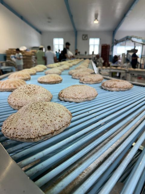 The Jalsa Salana’s on-site roti plant produces around 10,000 roti breads an hour (Sabah Ahmedi/PA)