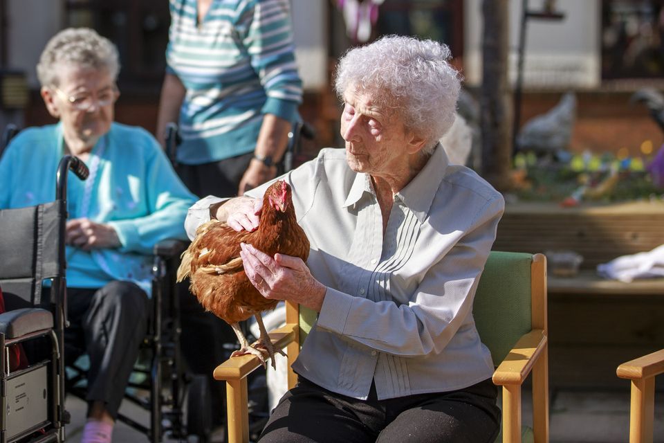 Seapatrick Care Home resident Celine sings to a chicken during a pet therapy session (Liam McBurney/PA)