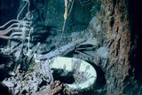 thumbnail: Pipes and the captain's bathtub are shown in this July 2003 photo, of what remains of the captain's cabin on the Titanic more than two miles underwater in the north Atlantic. Recent research dives to the legendary shipwreck are showing the vessel is deteriorating faster than earlier thought.