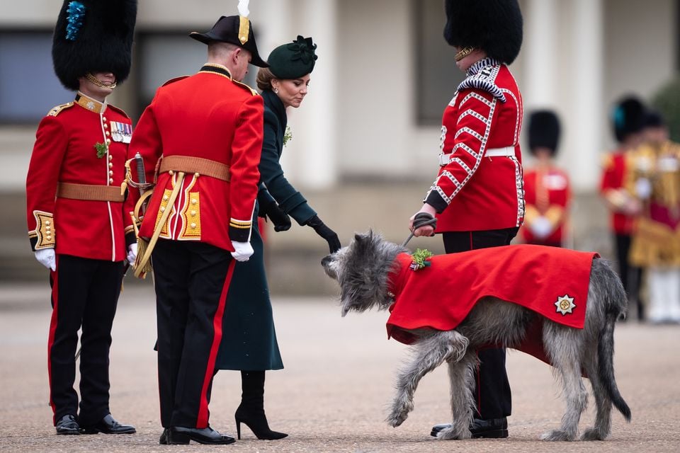 The Princess of Wales presents the traditional sprigs of shamrock to the Irish Guards Mascot Turlough Mor (Aaron Chown/PA)