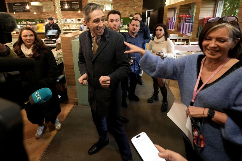 Taoiseach Simon Harris canvassing at Avoca in Malahide Castle, Dublin (Brian Lawless/PA)