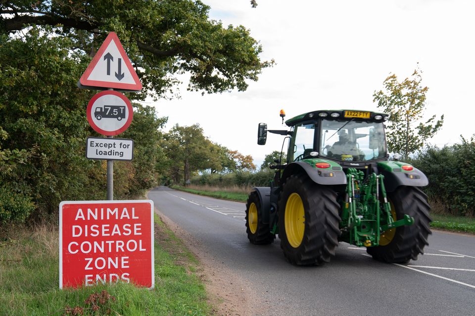 An Avian Influenza Prevention Zone (AIPZ) is in place across England and Scotland following a rise in bird flu cases (Joe Giddens/PA)