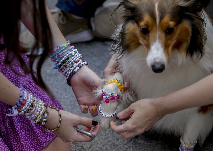 Fans – and their dogs – received friendship bracelets (AP)