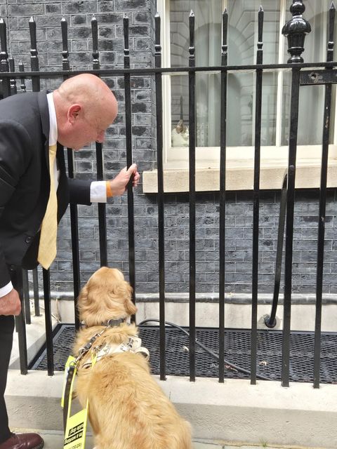 Jennie meets a disinterested Larry the Cat in Downing Street (Liberal Democrats/PA)