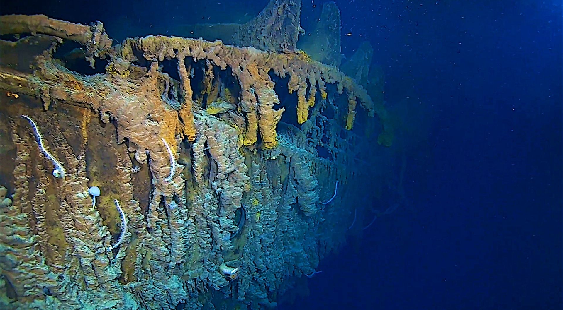 First Titanic expedition in 14 years uncovers 'partial collapse of hull' |  