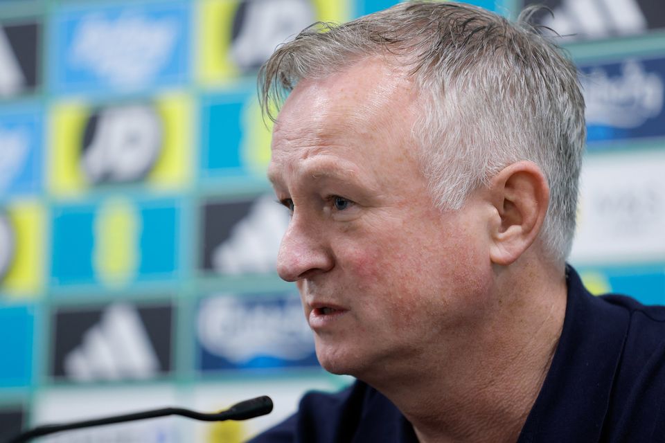 Northern Ireland manager Michael O'Neill believes the younger players need to step up as older heads depart the scene