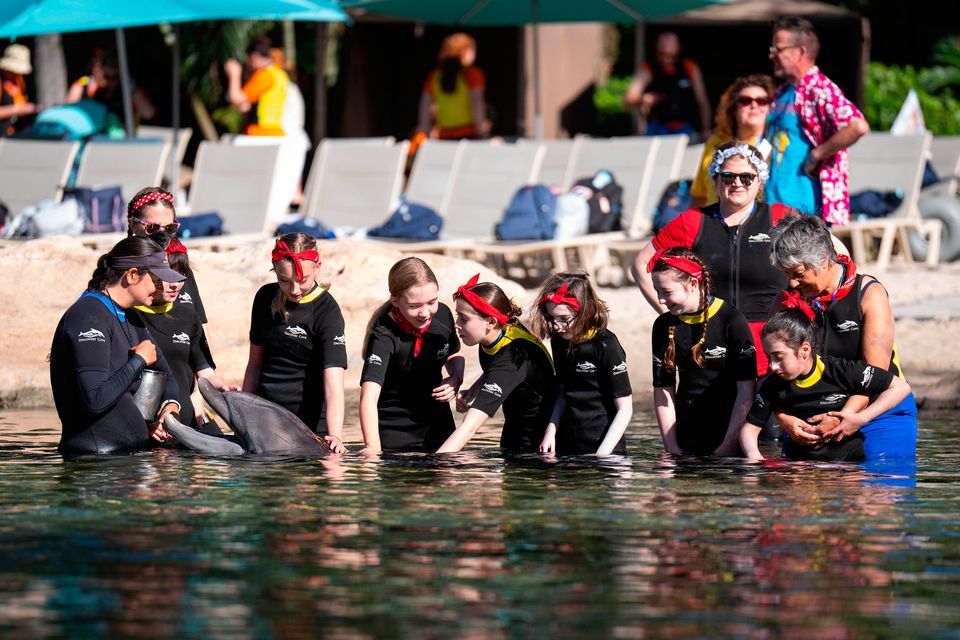 Children with a dolphin during the Dreamflight visit to Discovery Cove in Orlando, Florida. Pic: James Manning/PA Wire