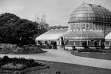 thumbnail: The Palm House in Botanic Gardens, Belfast.  7/5/1946
BELFAST TELEGRAPH COLLECTION/NMNI